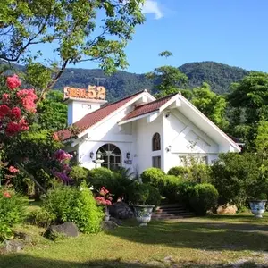 52bnb門前的那棵樹 民宿主人寫給旅人的一封信