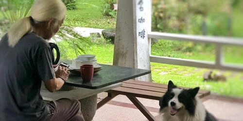 從豆子開始的款待哲學